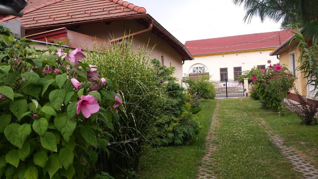 Eliza Vendeghaz Apartment Hajdúszoboszló Exterior foto